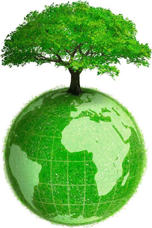 46-463744_eco-friendly-products-earth-with-tree-png